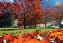Queenstown Colours of Autumn